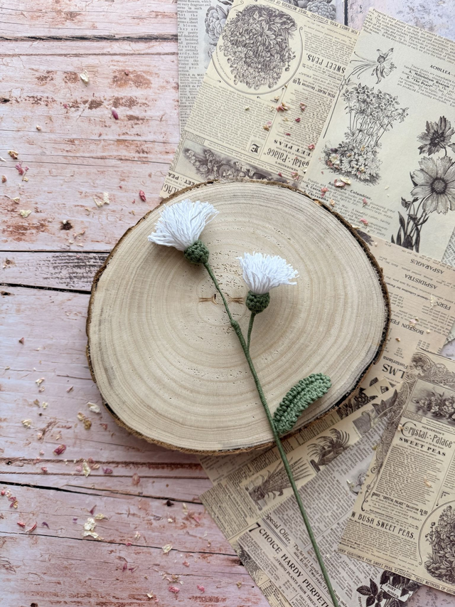 Chardon-Marie (personnalisable pour créer votre bouquet)