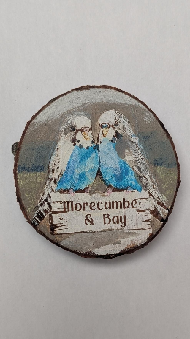 Budgies - Morecambe & Bay