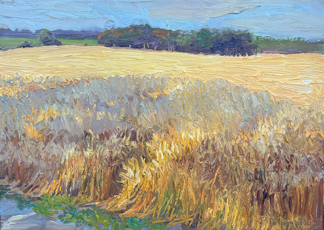„Sommerliches Weizenfeld“ – Öl auf Leinwand, 50 × 70 cm, 2024 | Summer Wheat Field