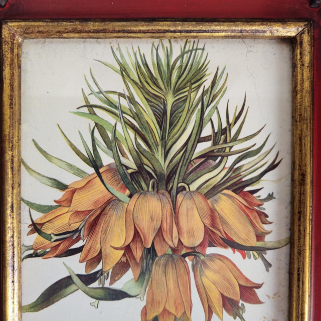 Reproduction d'une gravure ancienne encadrée sous verre