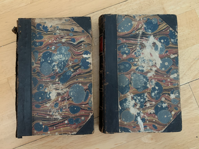 Antiquarian Book Set 1861 A History of British Birds Thomas Bewick Volumes 1 & 2