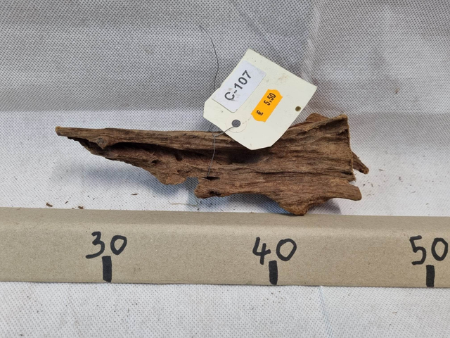 Racine Mangrove C-107