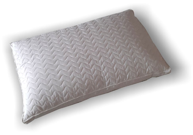 Guanciale  La natura  LINO