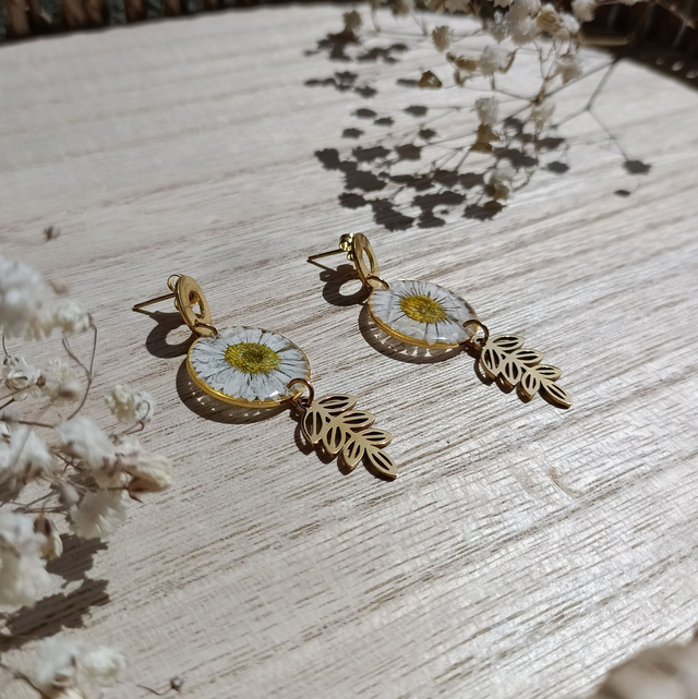 Lila - Éclat de marguerite