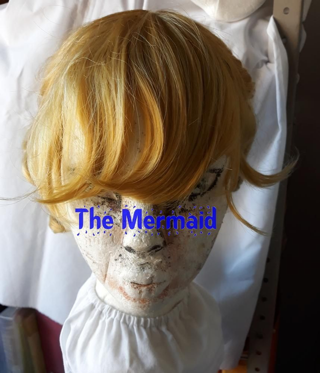 geel-blonde pruik met 2 staarten