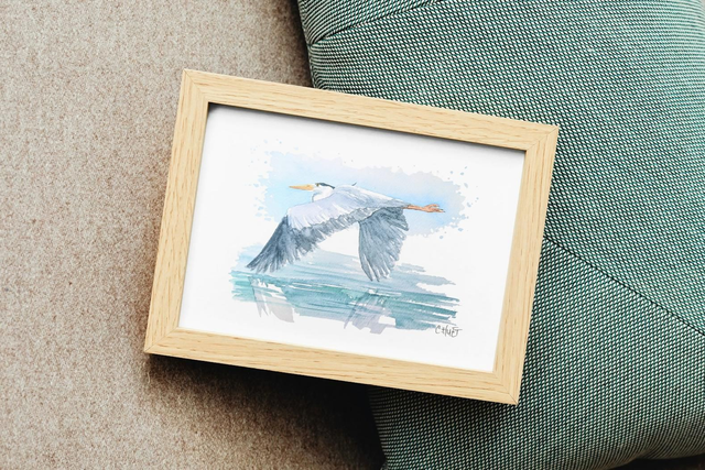 Tableau original à l'aquarelle héron cendré en vol, 15*19 environ