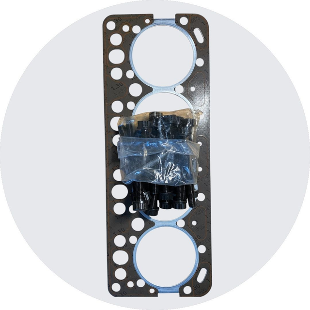 Zylinderkopfschraubensatz & Zylinderkopfdichtung für OM314