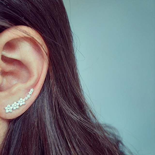 Cubic Zirconia Flower Climber Earring