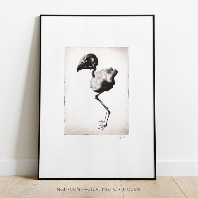 Fine art etching / Not framed / Bird Skull III