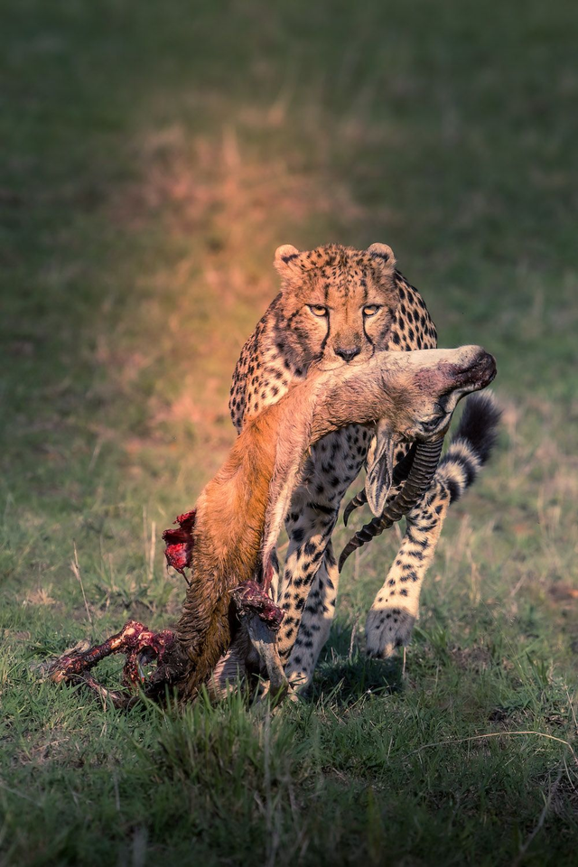 Tirage d'art : Naïma