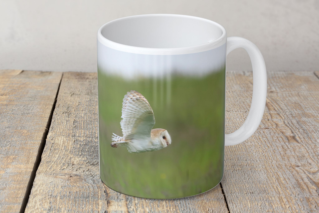 “Barn Owl in Flight” Mug 