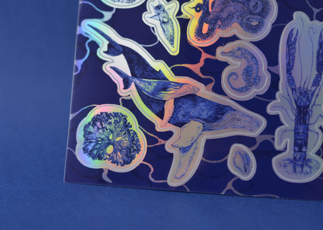 *last chance* Planche de stickers Océan *100% des ventes reversées à Sea Shepherd France*