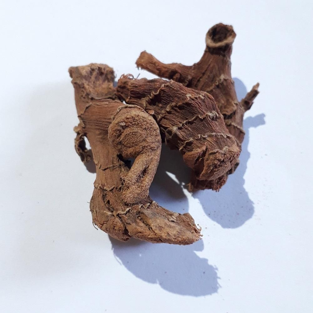 Galanga Root ALPINIA OFFICINALIS 50 g ram