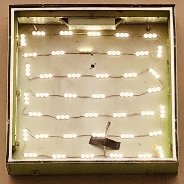 Oso Oso - Basking in the Glow LP (White with Orange Splatter Vinyl)