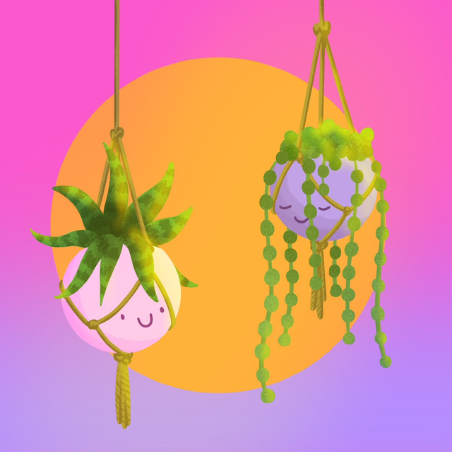 Plant friends