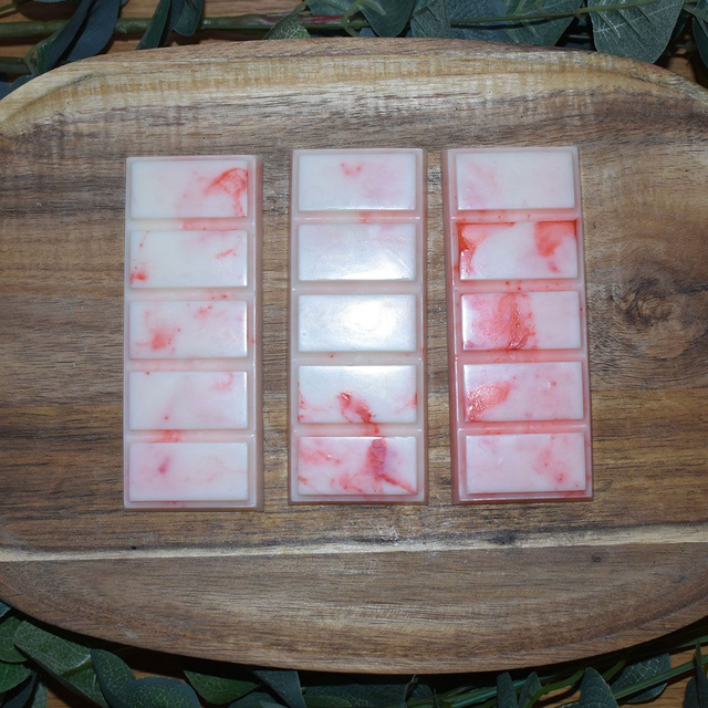 Floridian Dreams Snap Bar Wax Melt