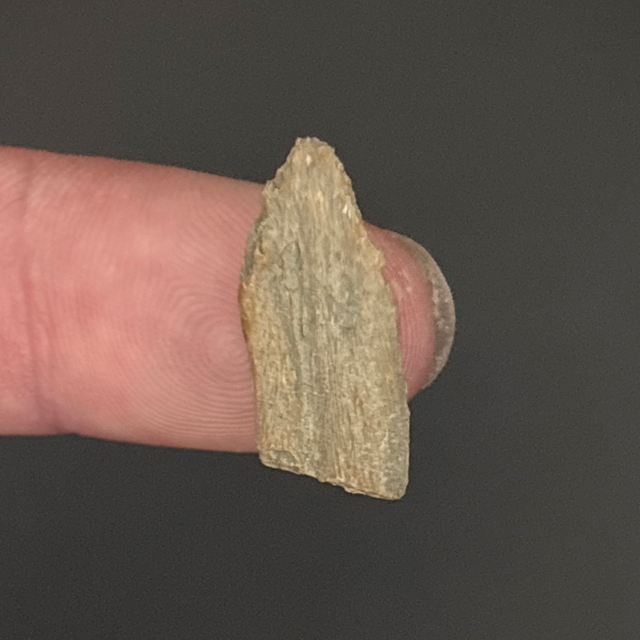 Ichthyosaur Rib Fragment 