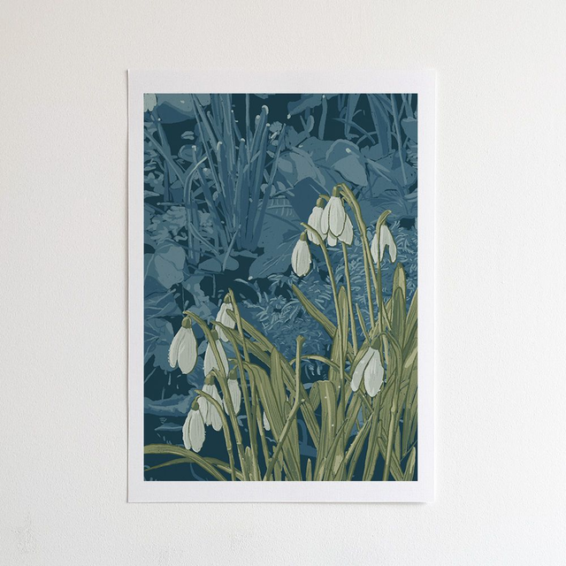 Snowdrops