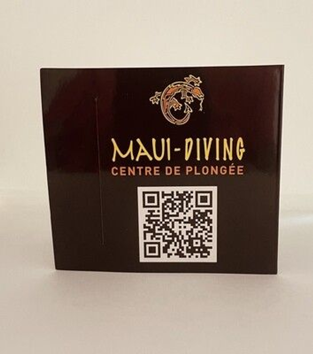 Maui-diving Drop stop