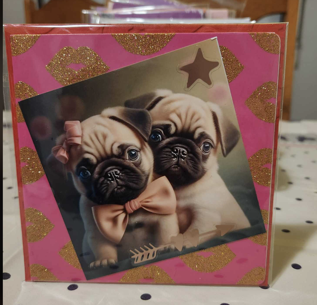 N°808 Carte Animaux  