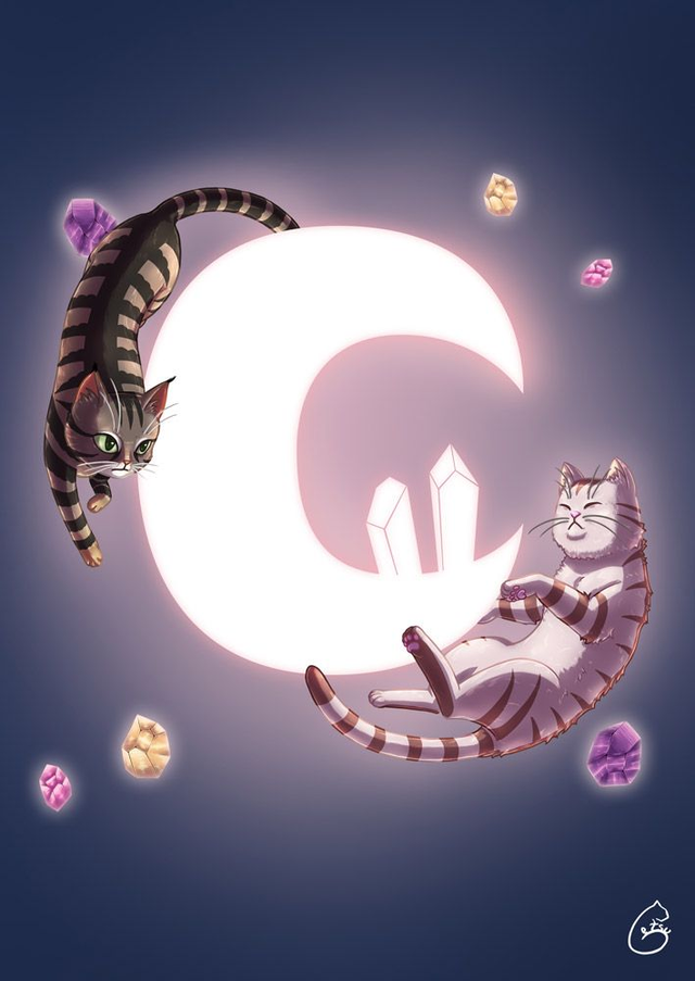 Poster A4 - chats et lune