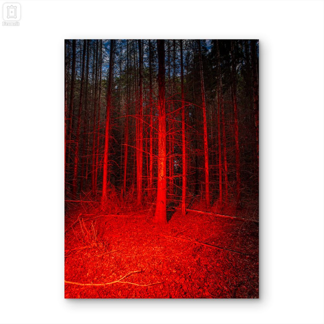 'Signal 02' Fineart print on dibond  