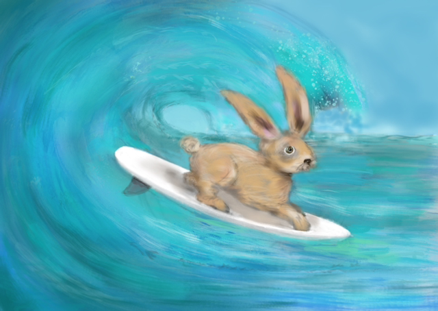 Surfhase