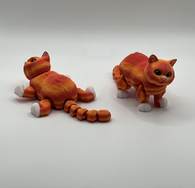 Ginger and white cat with green eyes 