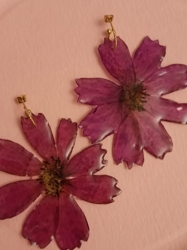 Modèle unique - Cosmos