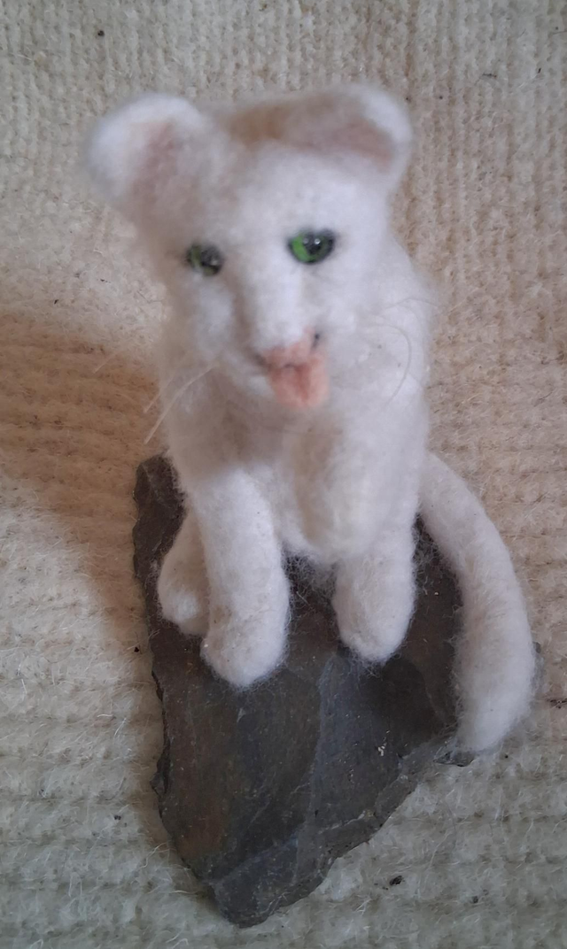 Needle Felt Cat in White: The Wash