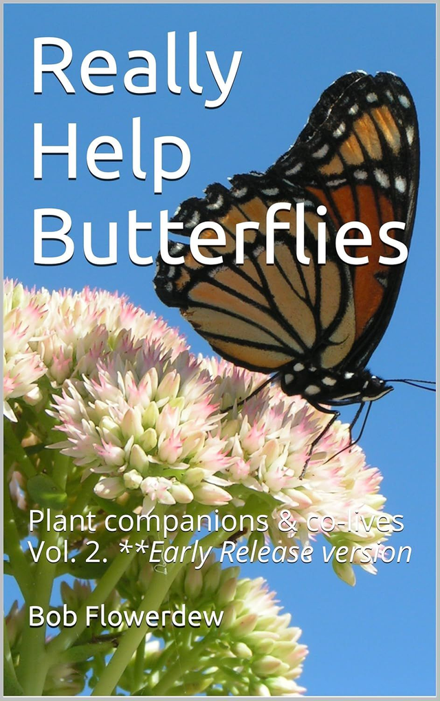 03 Really Help Butterflies