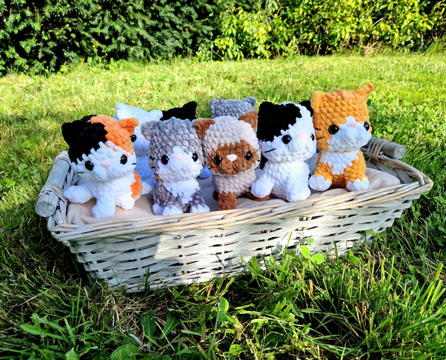 Petits Chats à Adopter