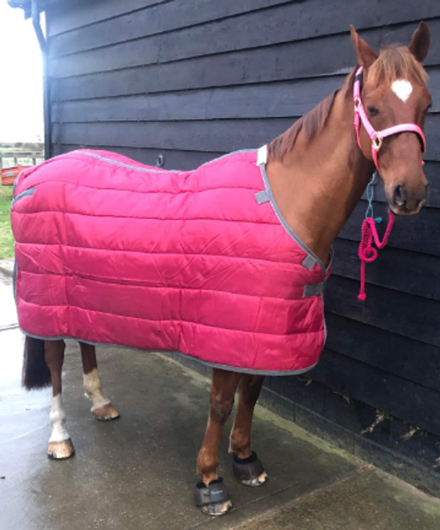 WeatherBeeta TriStar Rug Liner