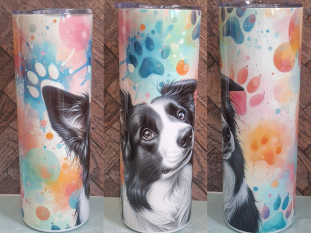 Collection Coloré Gourde Canette Border Collie 