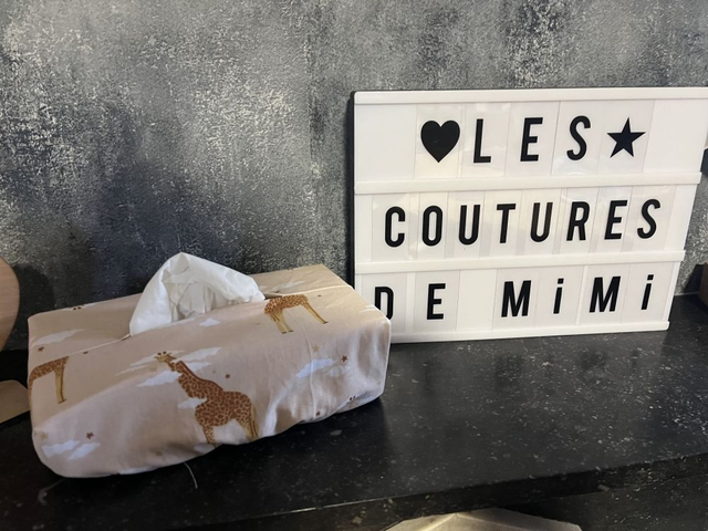 Housse boite à mouchoir