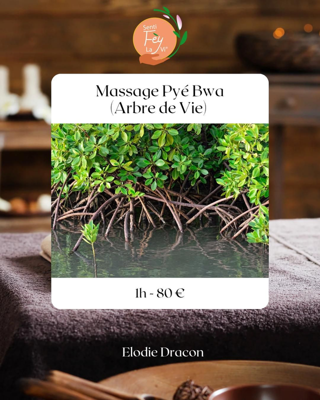 Massage "Pyé Bwa" - Arbre de vie