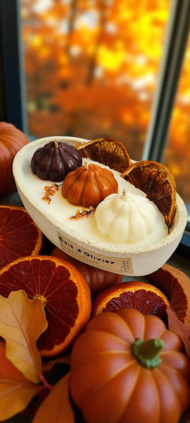 🍂 Composition Bougie Parfumée - Petit format