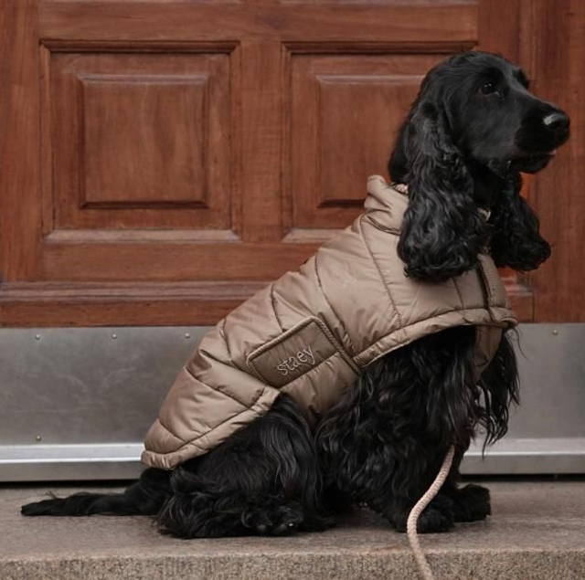 Hundemantel Nora - Marke Staey