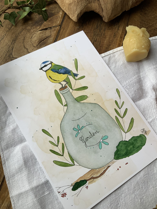 Reproduction A5 « Mésange curieuse »