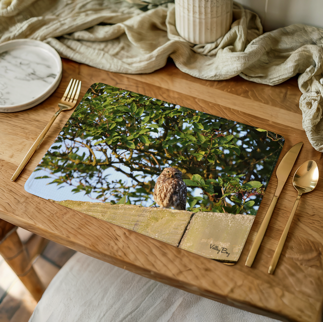“Little Owl” Placemat