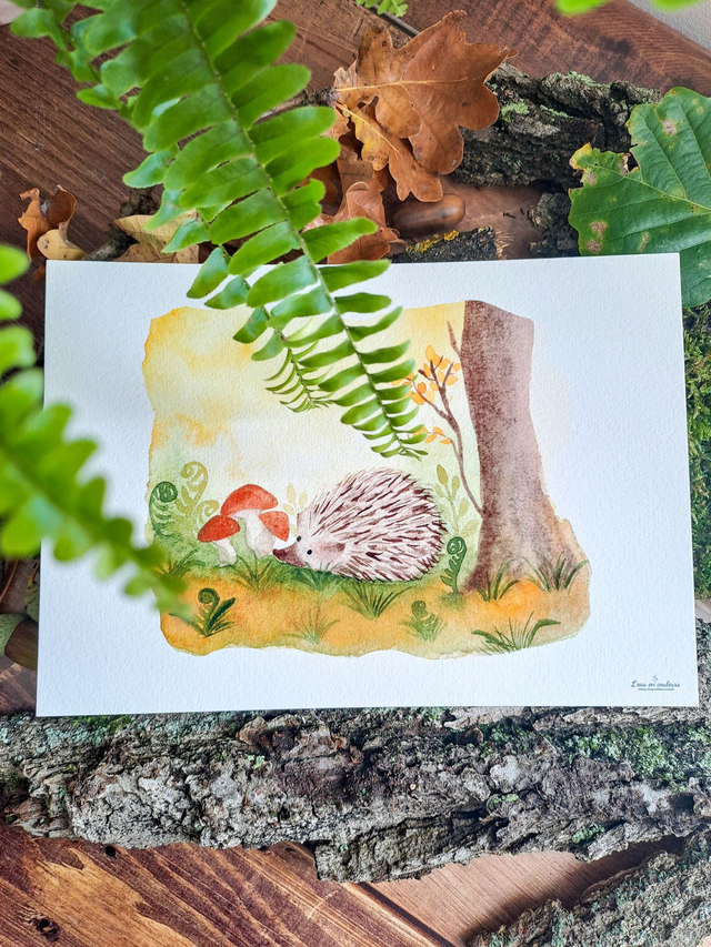 Affiche Fine Art Siméon le hérisson