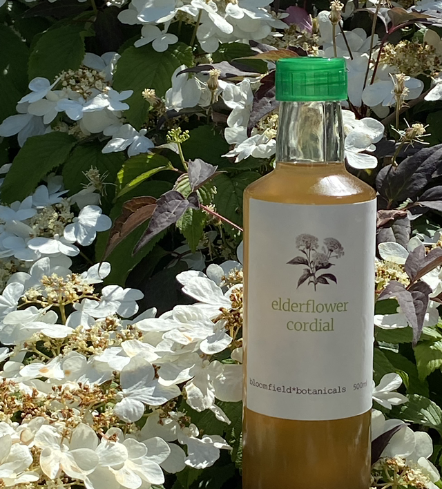 Elderflower Cordial 