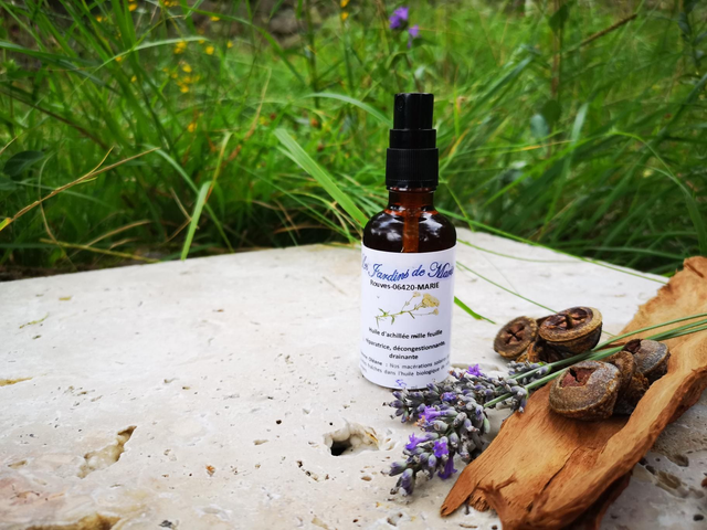 macérat d&#039;achillée millefeuille biologique