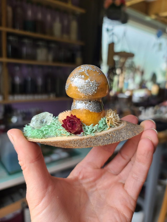 Mini champignon 🍄 N°8