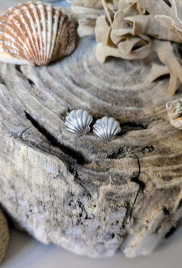 Large shell studs 