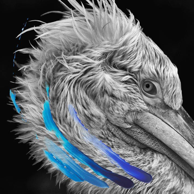 Lies - Lies 2xLP (Electric Blue with Orange &amp; Red Splatter Vinyl)