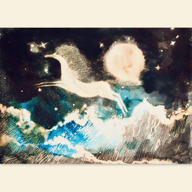 LA CONSTELLATION DU CHEVAL