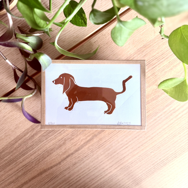 Teckel solo - petit cadre 10x15 