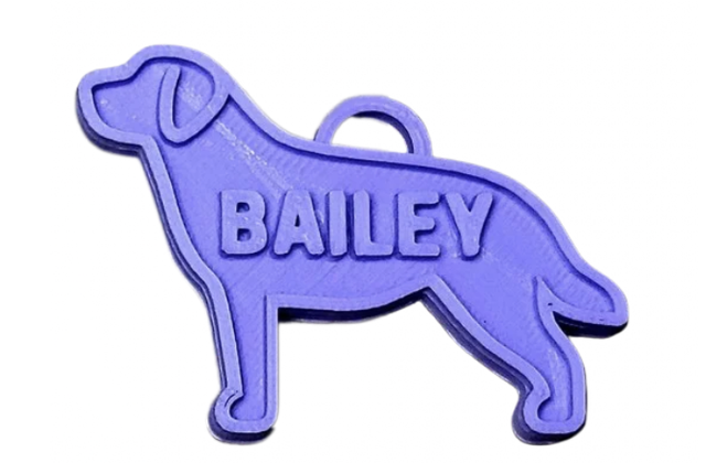 Labrador tag
