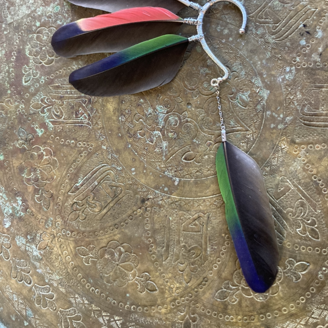 Tour d’oreille argenté en plume de perroquet